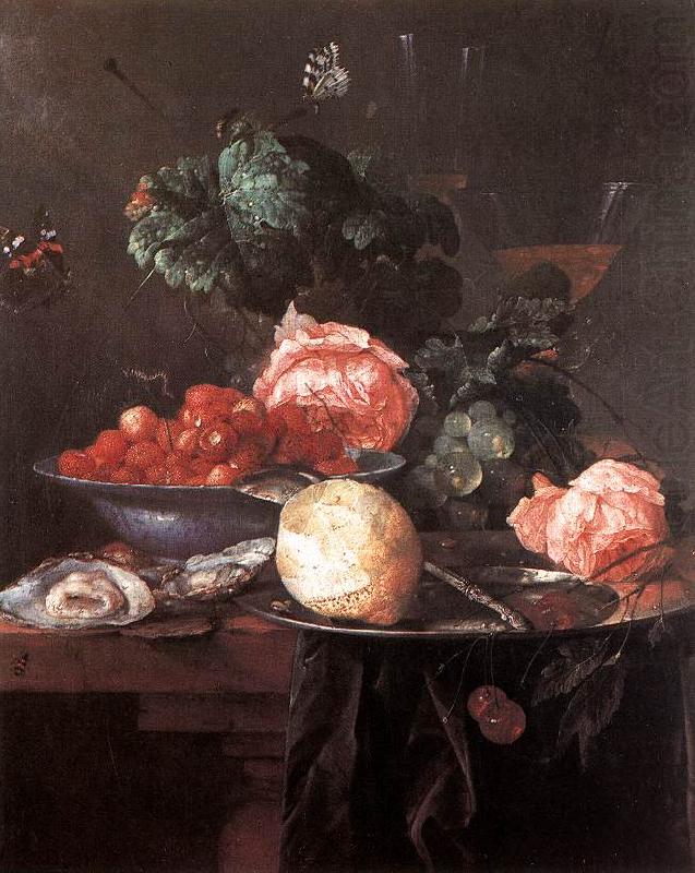Jan Davidsz. de Heem Still-life with Fruits china oil painting image
